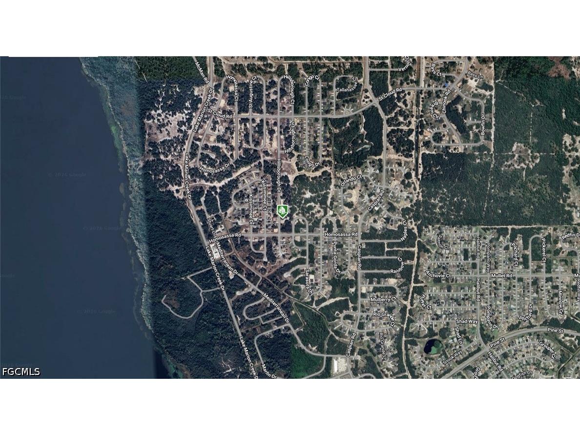 1407 Hillsborough Drive FL 34759 2026021419 image3