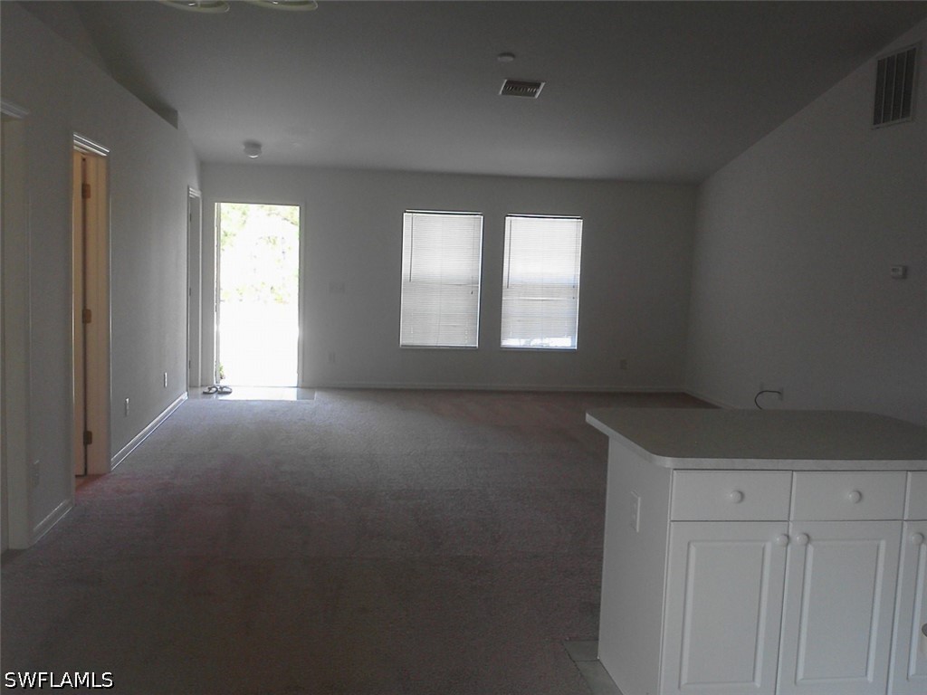 1407 W 10th Street Lehigh Acres FL 33972 226020606 image7