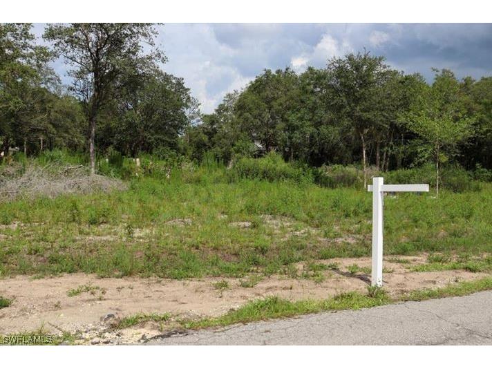 1408 Roosevelt Avenue Lehigh Acres FL 33972 223043970 image1