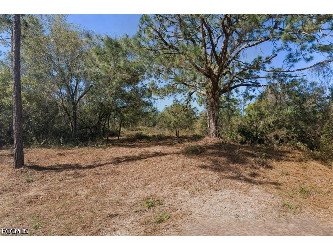 1409 Congress Avenue Lehigh Acres FL 33972 2026017429 image1