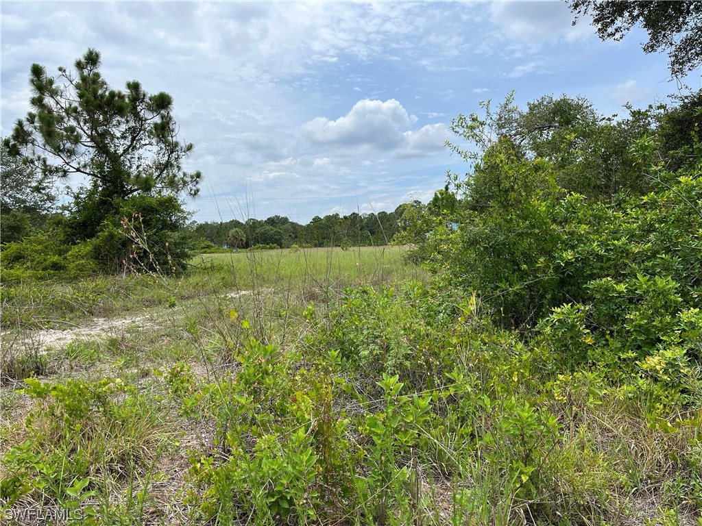1409 Leroy Avenue Lehigh Acres FL 33972 223045789 image1