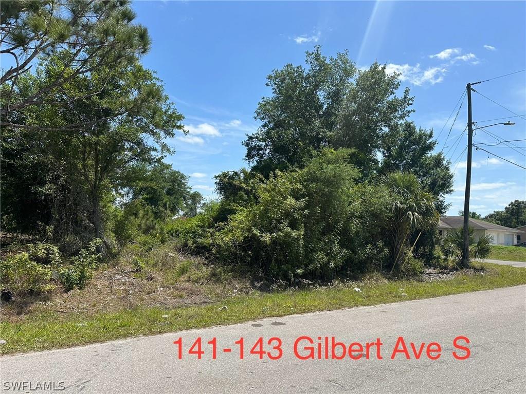 141-143 Gilbert Avenue S Lehigh Acres FL 33973 224028319 image1