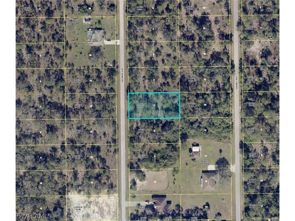 1410 Truman Avenue Lehigh Acres FL 33972 224028711 image1