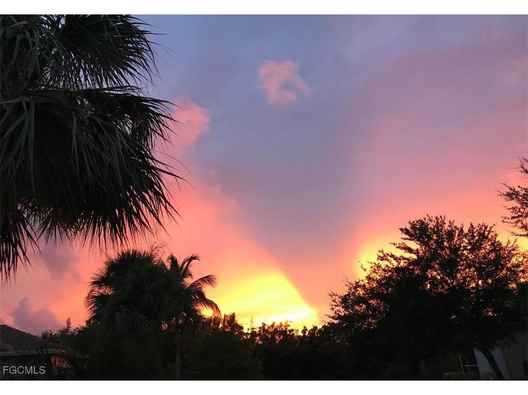 14101 Brant Point Circle #3204 Fort Myers FL 33919 2025002996 image46