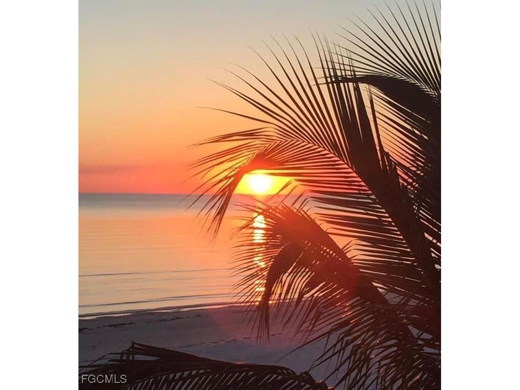 14101 Brant Point Circle #3204 Fort Myers FL 33919 2025002996 image50