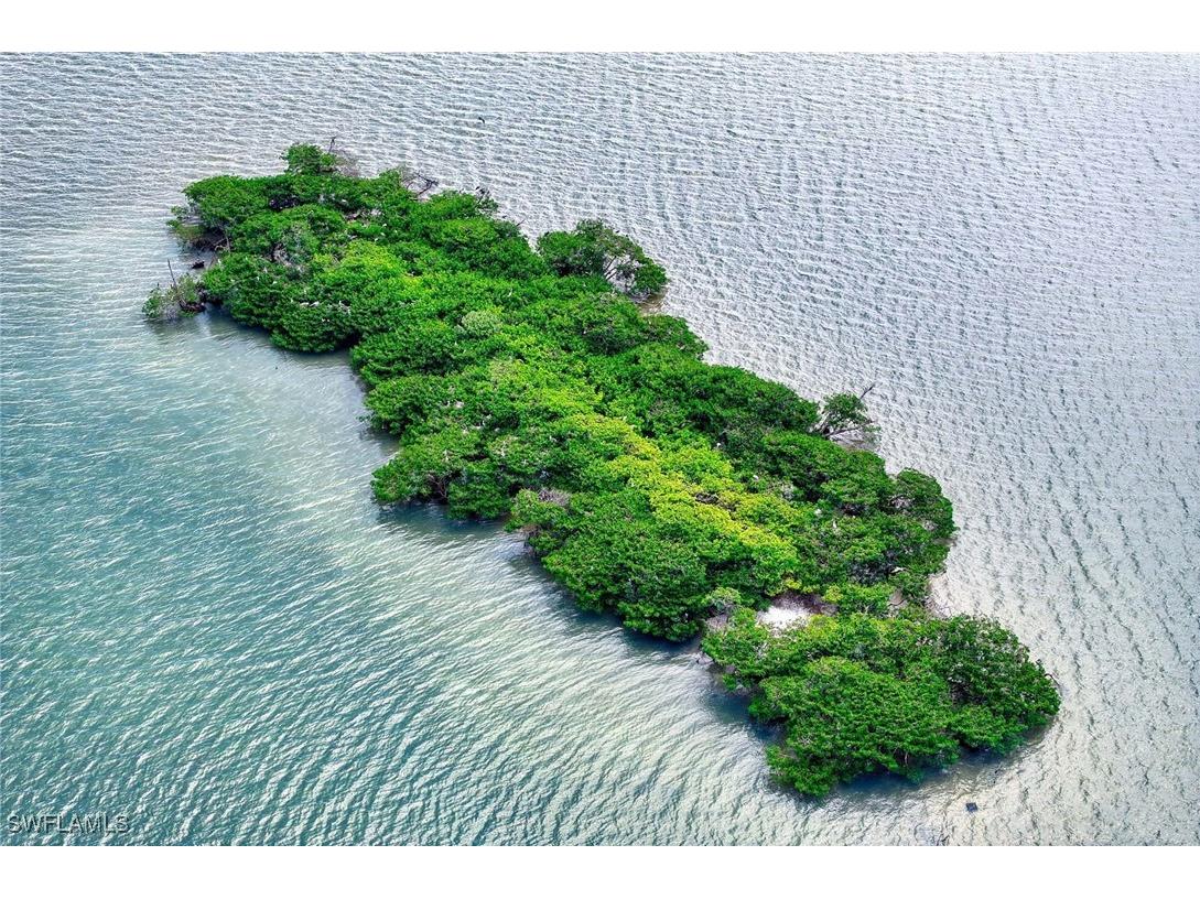 1411 Butterfield Court Marco Island FL 34145 225063961 image13