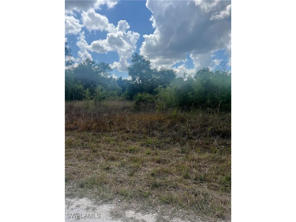 1411 Hamilton Avenue Lehigh Acres FL 33972 225033590 image1