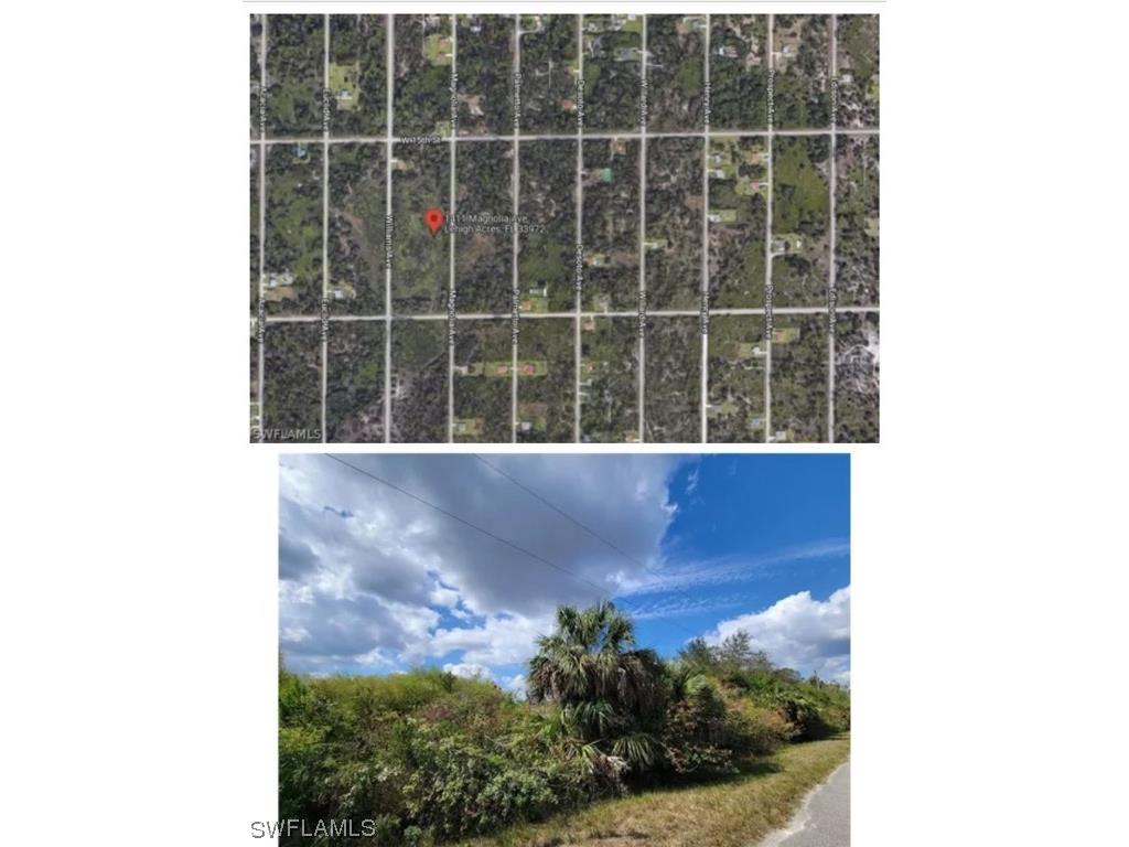 1411 Magnolia Avenue Lehigh Acres FL 33972 224009780 image1