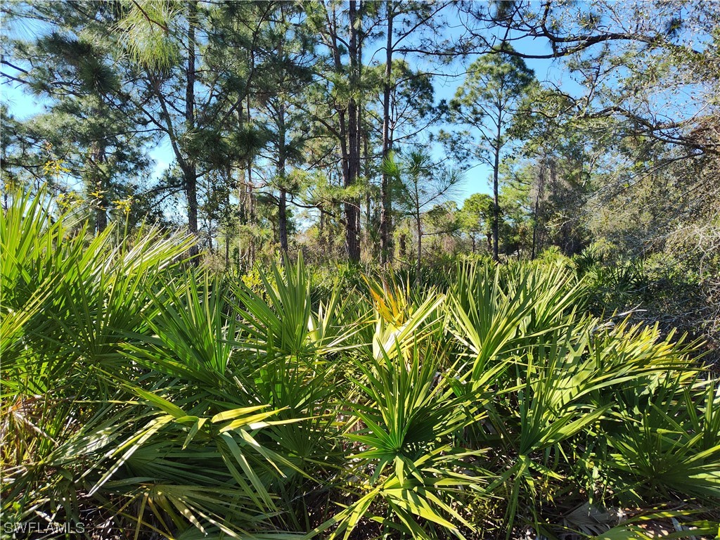 1411 Pine Avenue Lehigh Acres FL 33972 224017317 image1