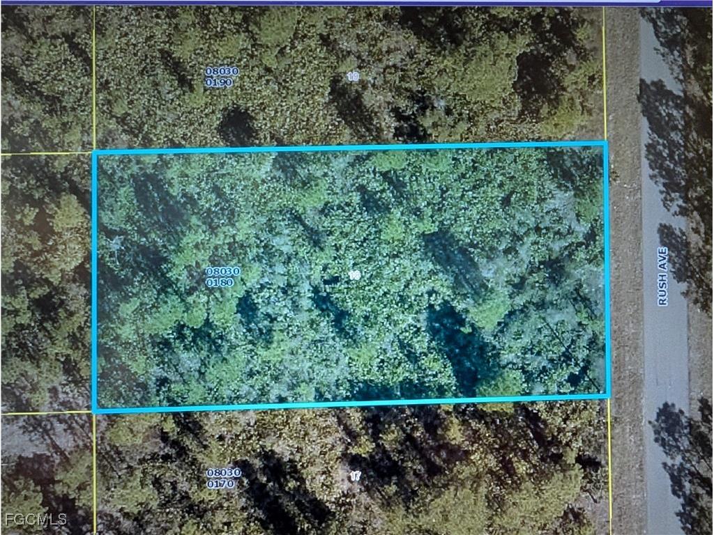 1411 Rush Avenue Lehigh Acres FL 33972 2025012664 image1