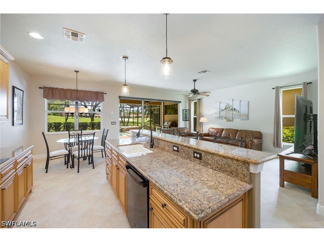 14112 Lavante Court Bonita Springs FL 34135 226022041 image6