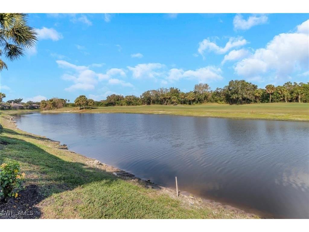 14113 Tivoli Terrace Bonita Springs FL 34135 226003423 image29