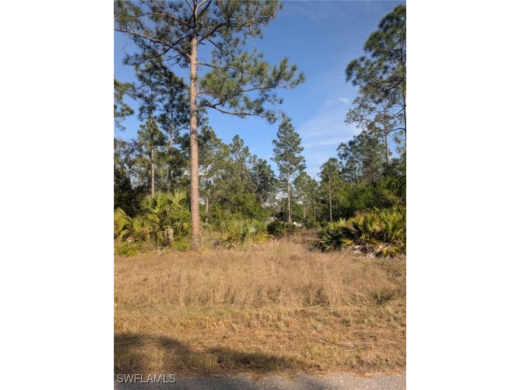 1412 Clayton Avenue Lehigh Acres FL 33972 225021835 image1