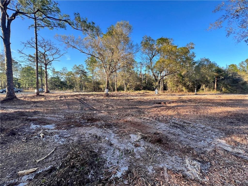 1412 Hamilton Avenue Lehigh Acres FL 33972 225009480 image1