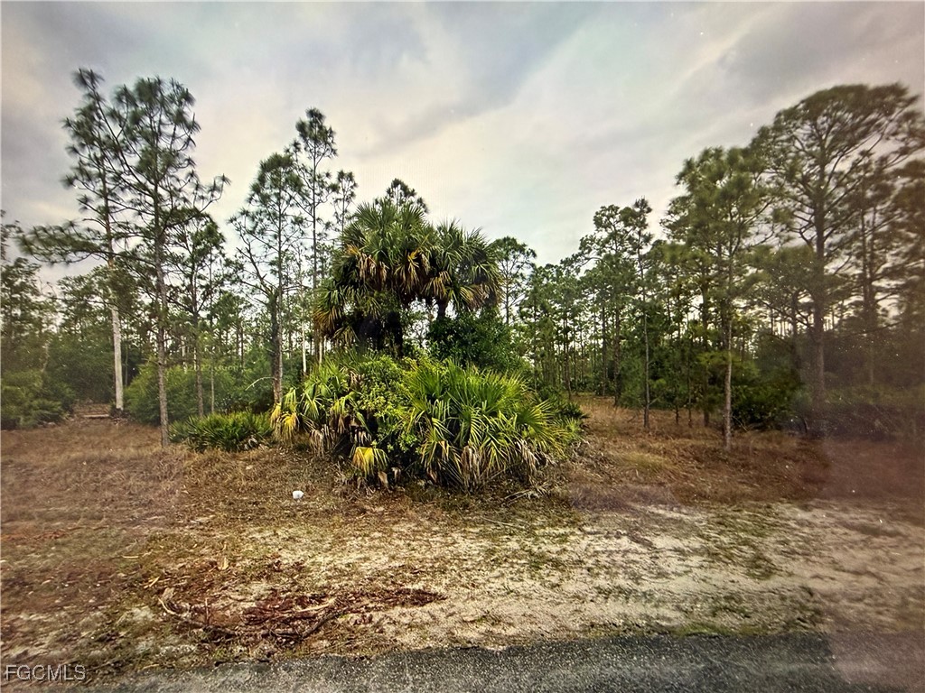 1413 Sheldon Avenue Lehigh Acres FL 33972 2026006323 image1