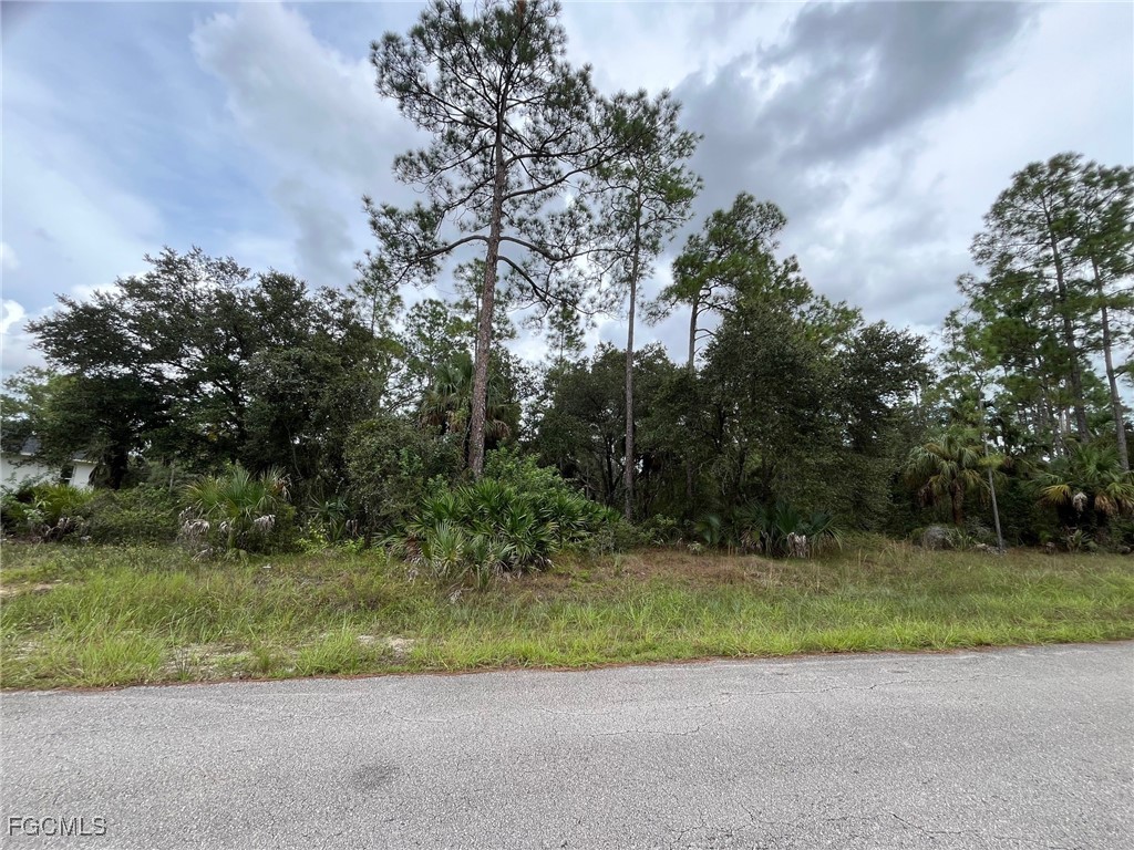 1414 Desoto Avenue Lehigh Acres FL 33972 2025016470 image2