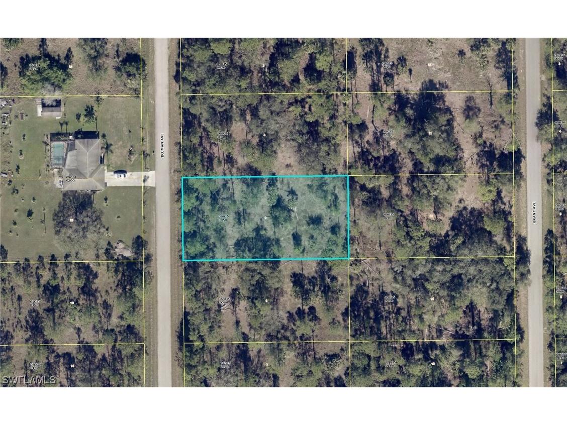 1414 Truman Avenue Lehigh Acres FL 33972 224018536 image1