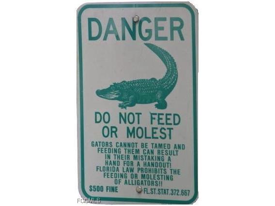 14147 Plum Island Drive Fort Myers FL 33919 2026002894 image50