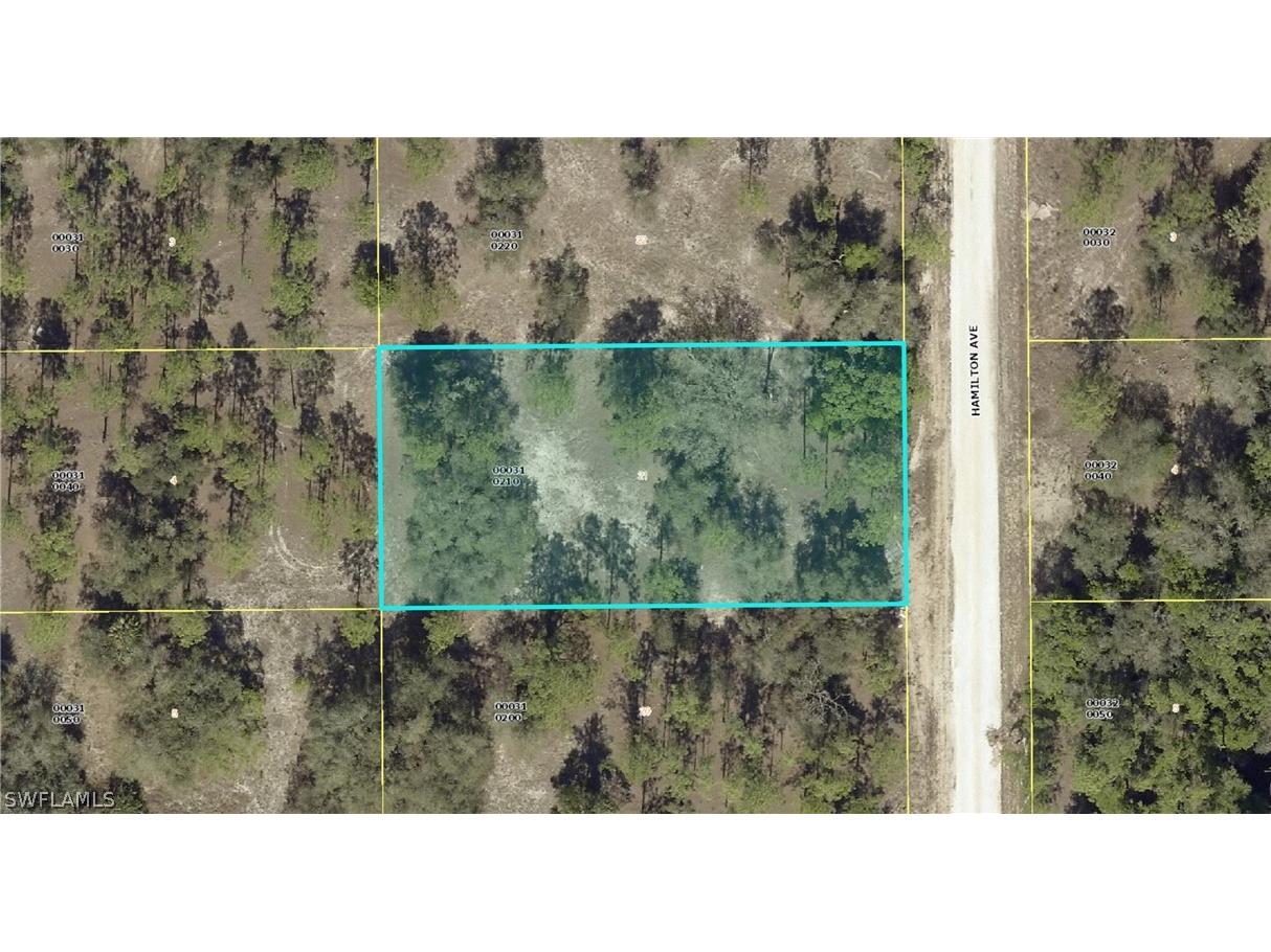 1417 Hamilton Avenue Lehigh Acres FL 33972 223010483 image1