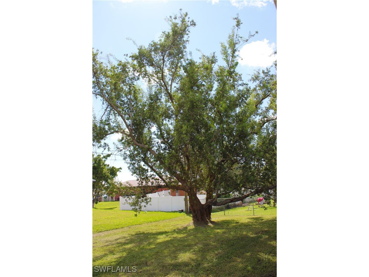 1417 NE 12th Avenue Cape Coral FL 33909 225072510 image20