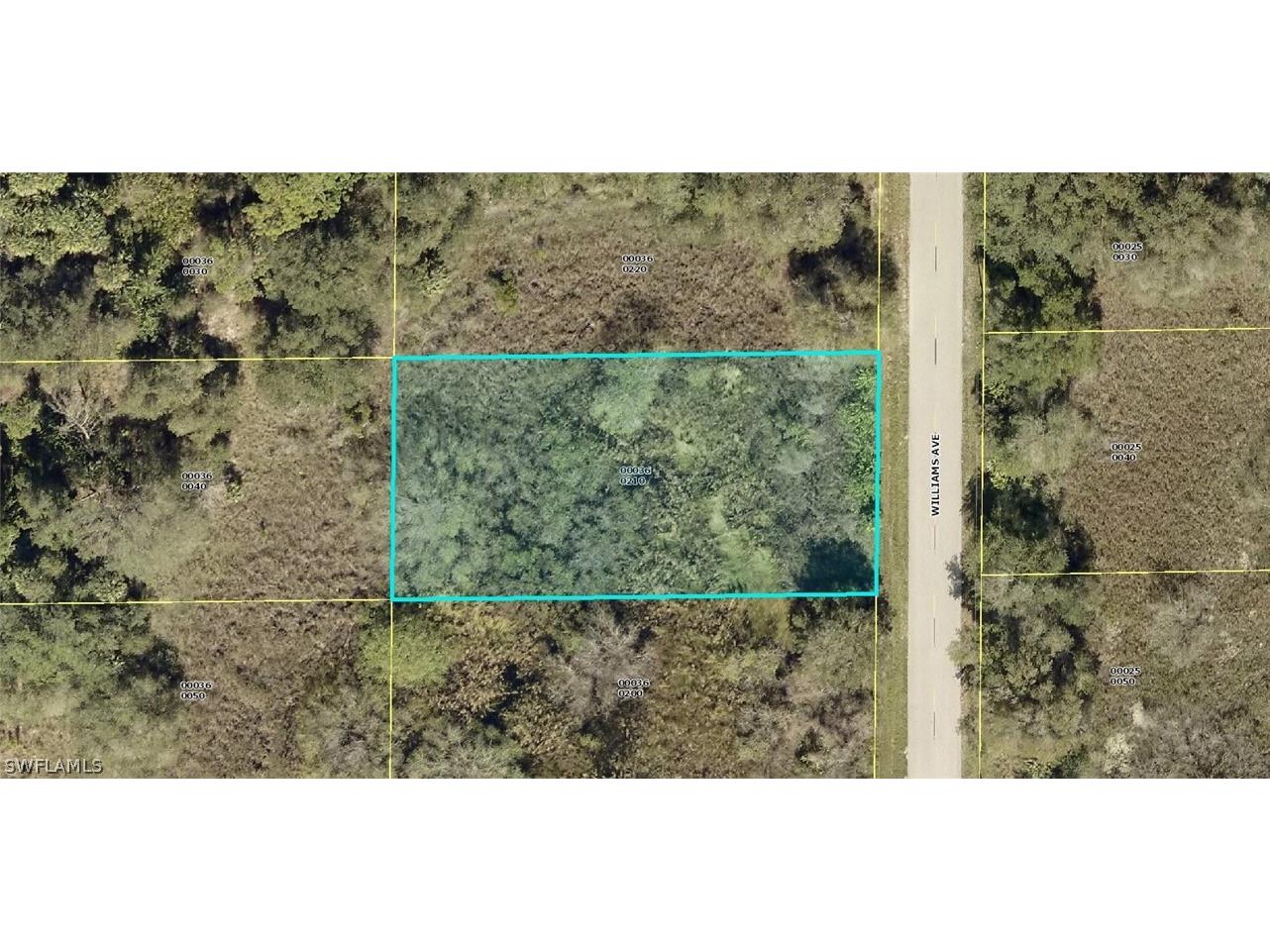 1417 Williams Avenue Lehigh Acres FL 33972 222011183 image1