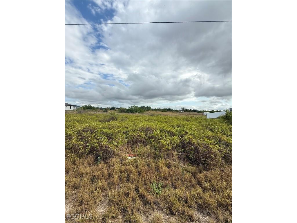 1418 Irving Avenue Lehigh Acres FL 33972 2025024012 image2