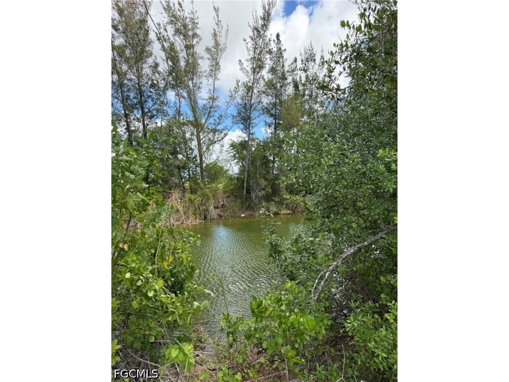 1419 NW 24th Terrace Cape Coral FL 33993 2026016707 image3