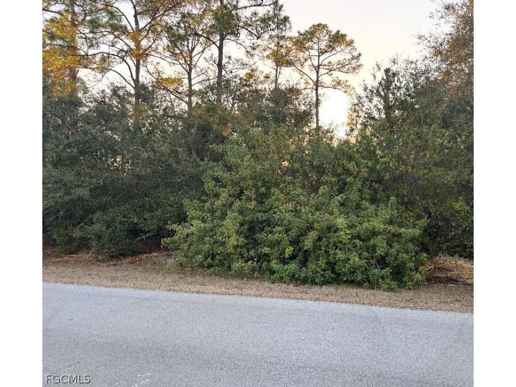 1419 Sheldon Avenue Lehigh Acres FL 33972 2026007941 image1