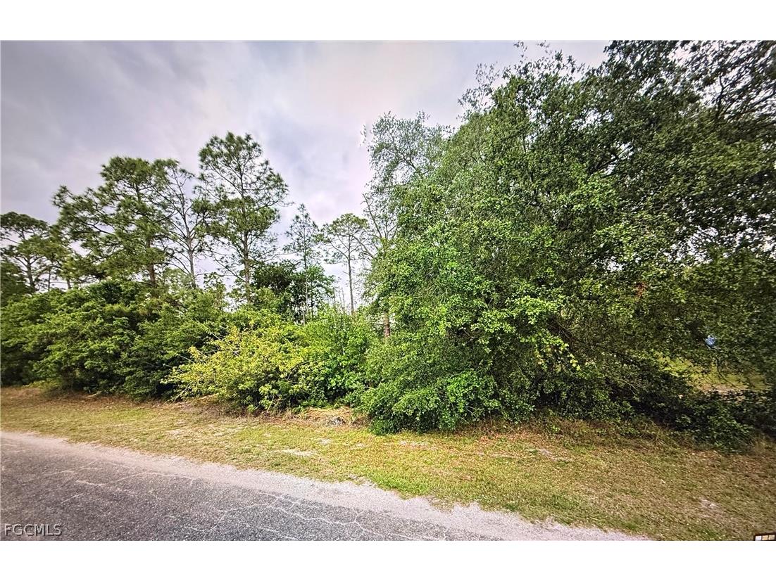 1419 Sheldon Avenue Lehigh Acres FL 33972 2026007941 image2