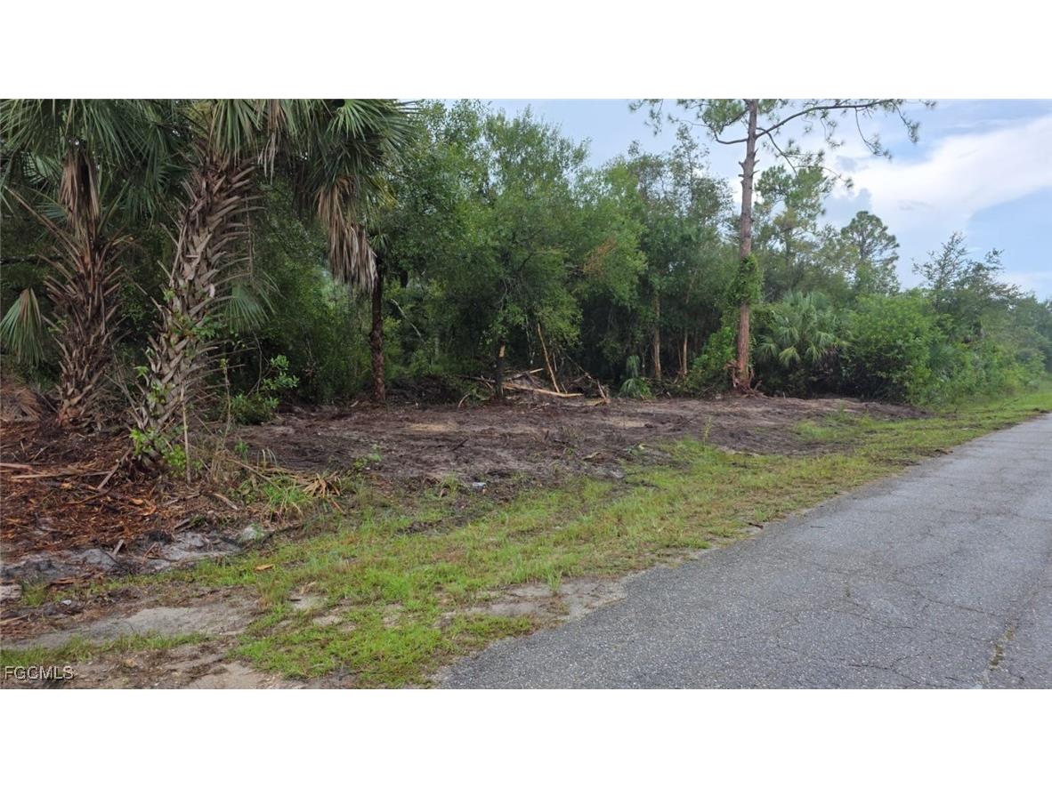 1420 Magnolia Avenue Lehigh Acres FL 33972 2025007199 image1