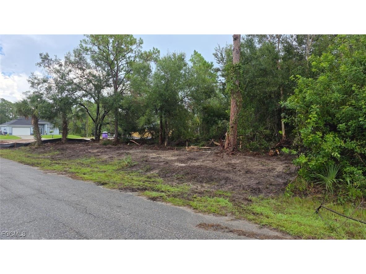 1420 Magnolia Avenue Lehigh Acres FL 33972 2025007199 image2