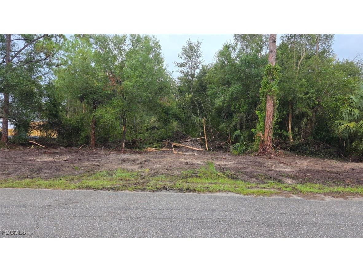 1420 Magnolia Avenue Lehigh Acres FL 33972 2025007199 image3