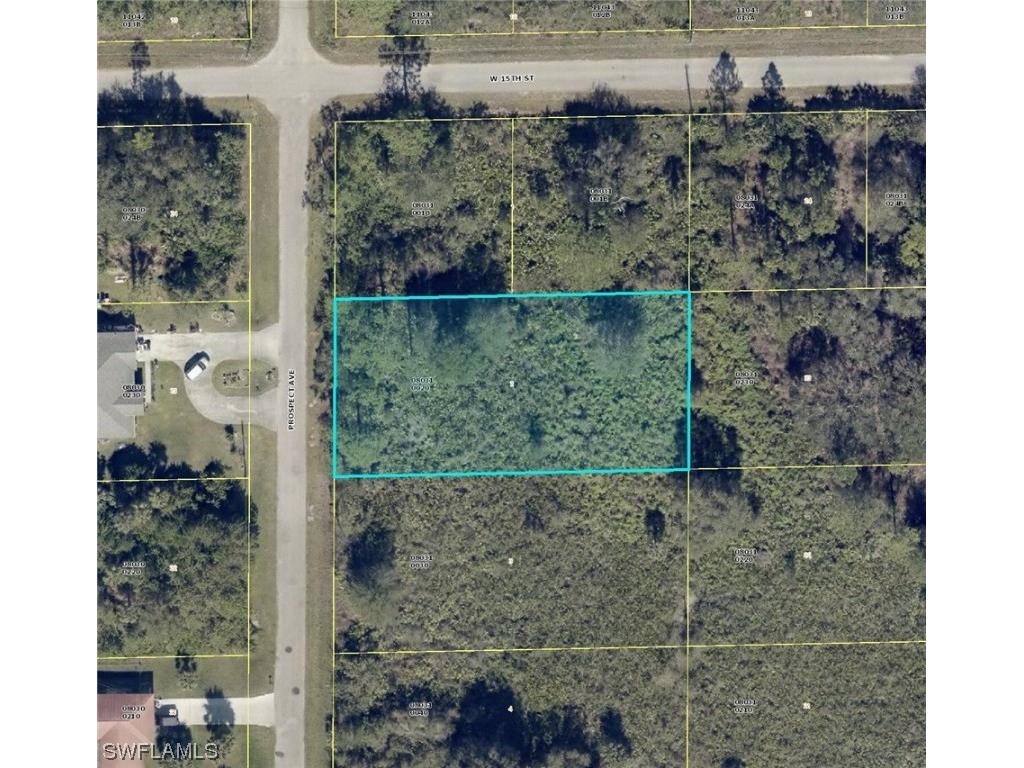 1420 Prospect Avenue Lehigh Acres FL 33972 224016794 image1