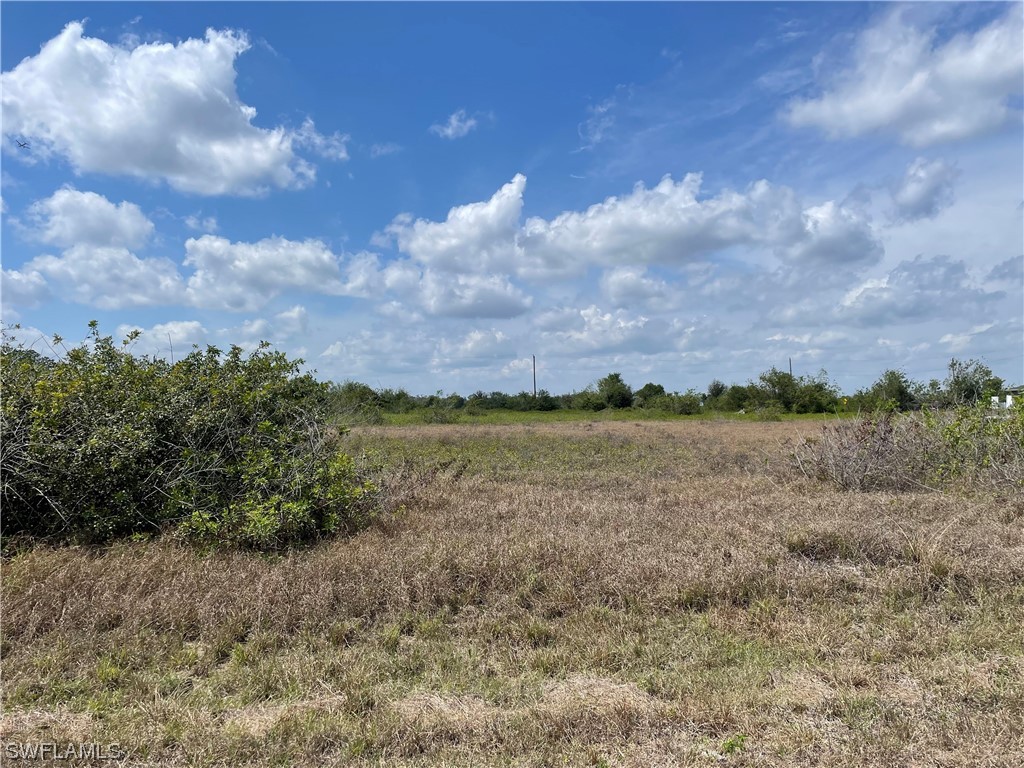 1421 Abbott Avenue Lehigh Acres FL 33972 222069820 image1