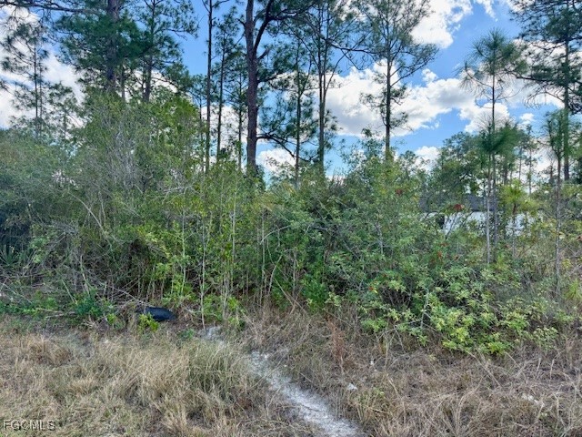 1422 North Avenue Lehigh Acres FL 33972 2026004286 image12