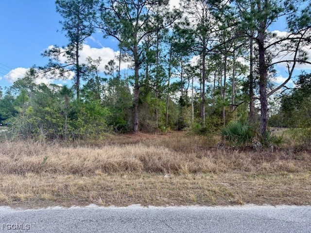 1422 North Avenue Lehigh Acres FL 33972 2026004286 image13