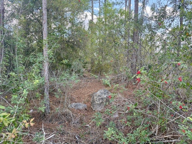 1422 North Avenue Lehigh Acres FL 33972 2026004286 image16