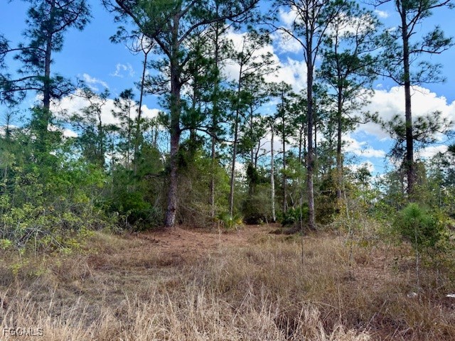 1422 North Avenue Lehigh Acres FL 33972 2026004286 image3