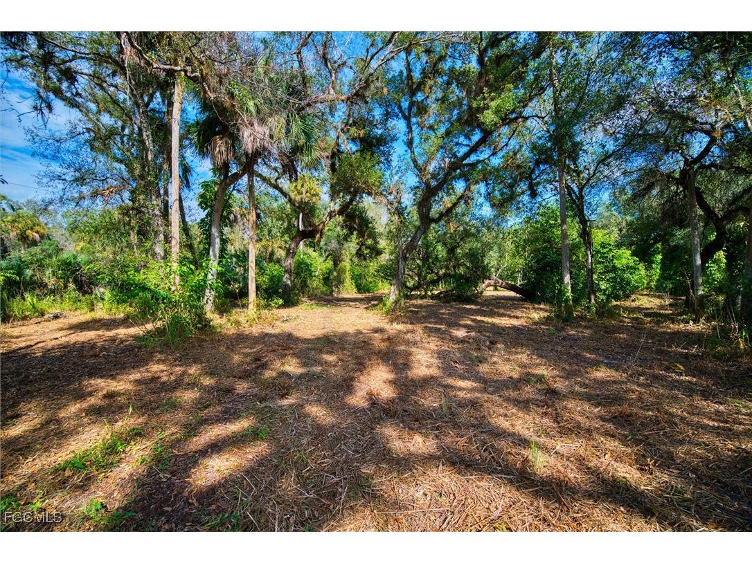 14221 River Road Fort Myers FL 33905 2025022015 image10