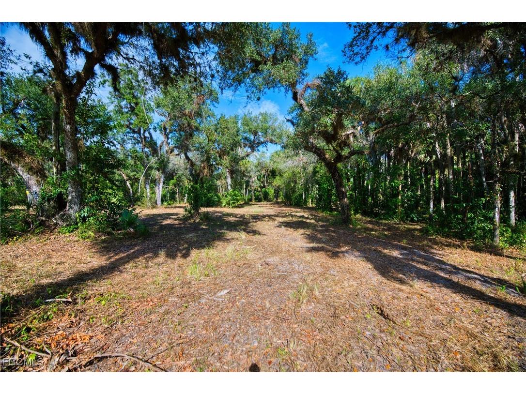 14221 River Road Fort Myers FL 33905 2025022015 image12