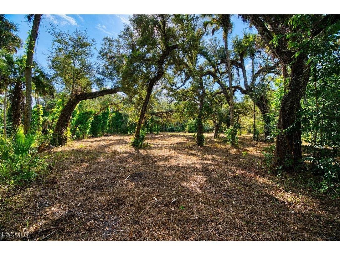 14221 River Road Fort Myers FL 33905 2025022015 image13