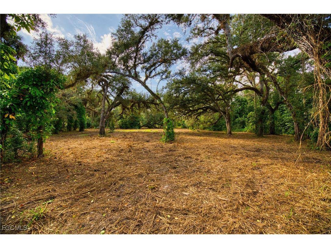 14221 River Road Fort Myers FL 33905 2025022015 image4