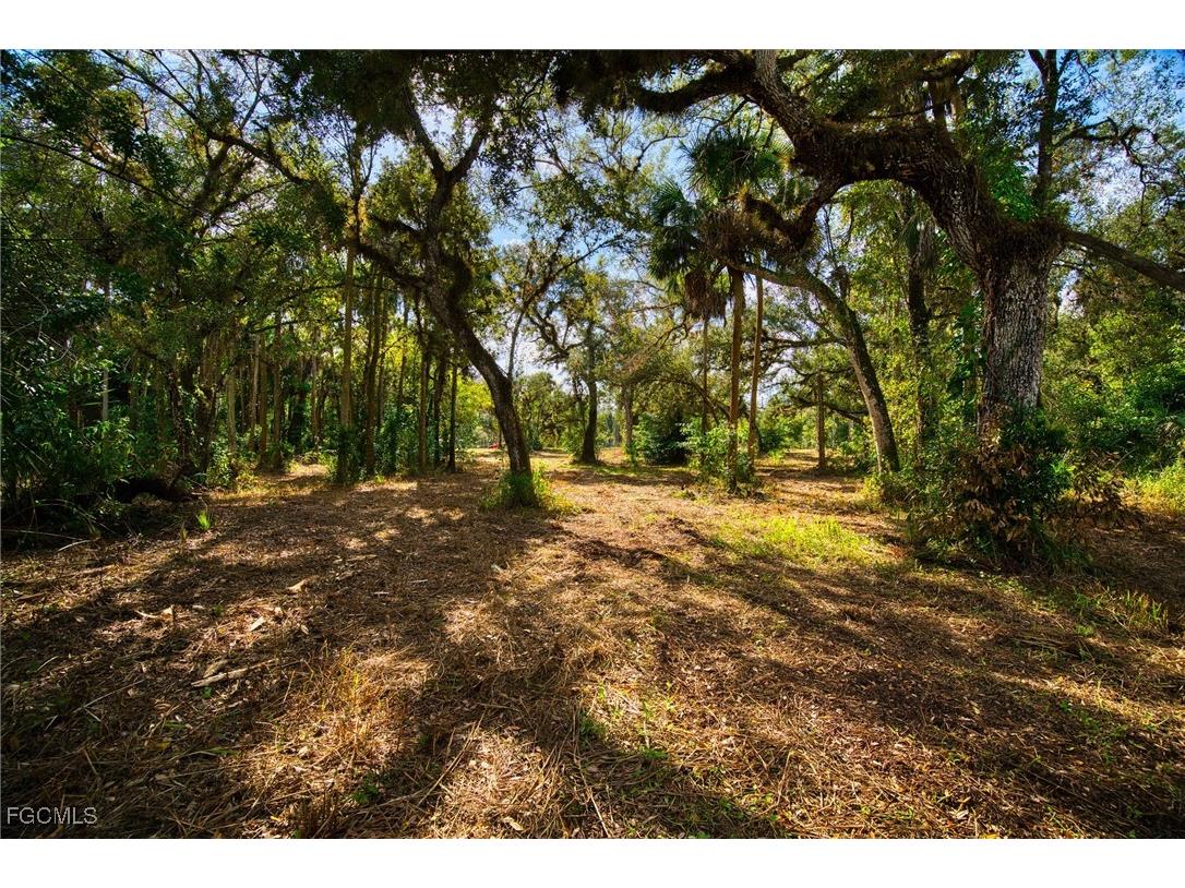 14221 River Road Fort Myers FL 33905 2025022015 image6