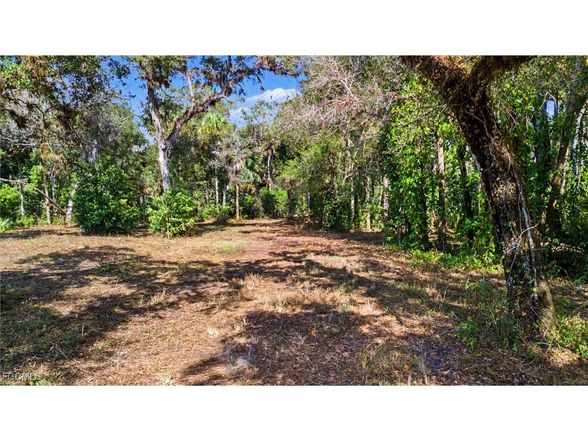 14221 River Road Fort Myers FL 33905 2025022015 image8