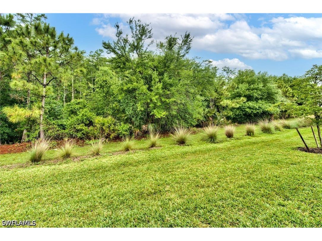 14223 Wild Timber Court Estero FL 33928 226019164 image36