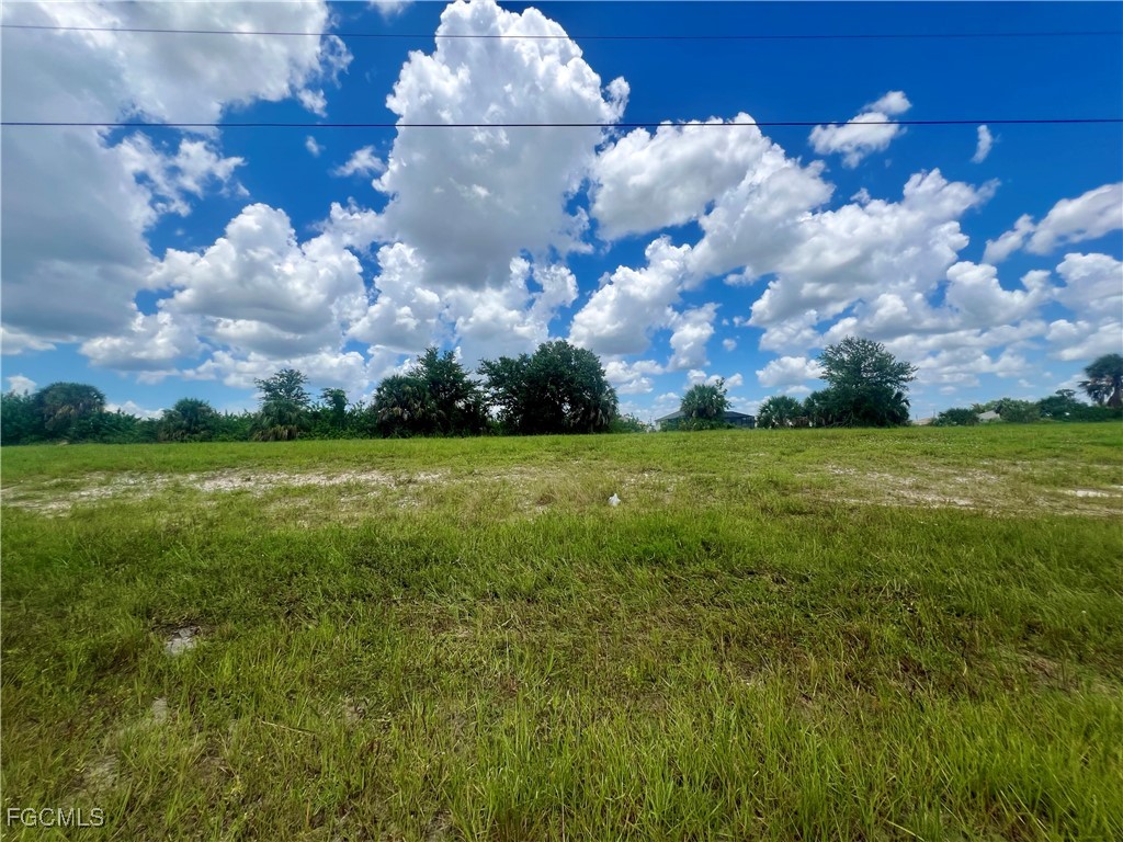 1423 NW 8th Terrace Cape Coral FL 33993 2025009231 image4