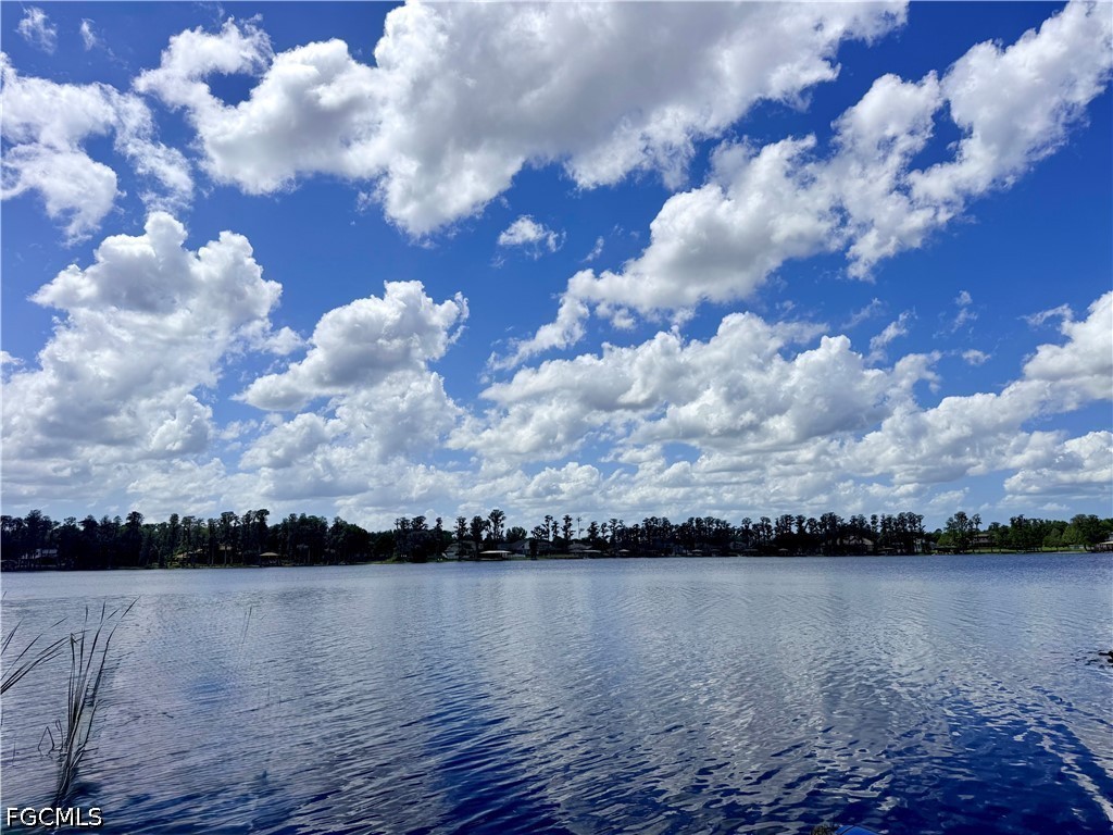 14232 Chisholm Lane Odessa FL 33556 2026016194 image29