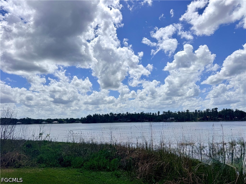 14232 Chisholm Lane Odessa FL 33556 2026016194 image30