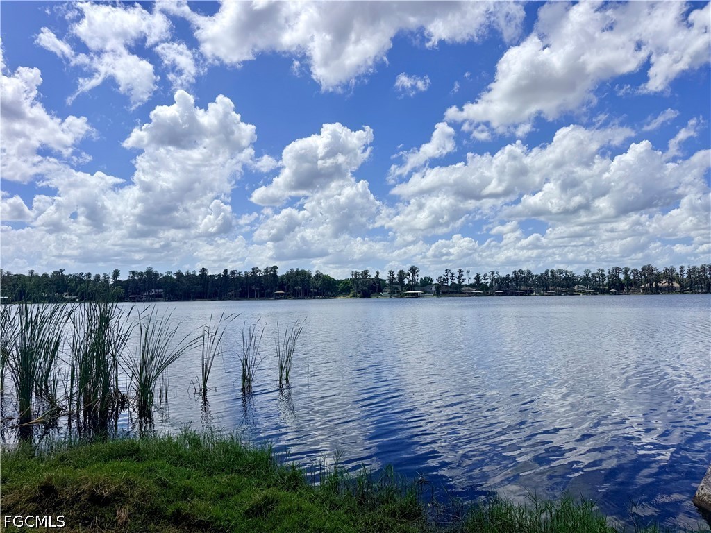 14232 Chisholm Lane Odessa FL 33556 2026016194 image31