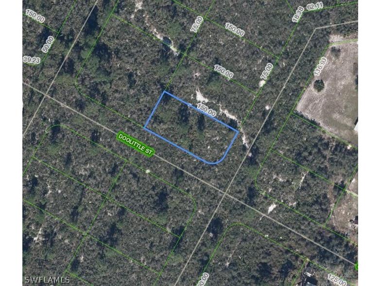 1424 Doolittle Street Lake Placid FL 33852 226008419 image1